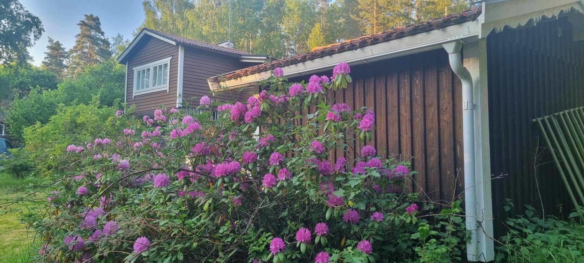 Private Lake Cabin Villaer Stockholm